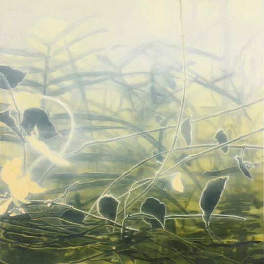 Eva Wagner Nature Blessing