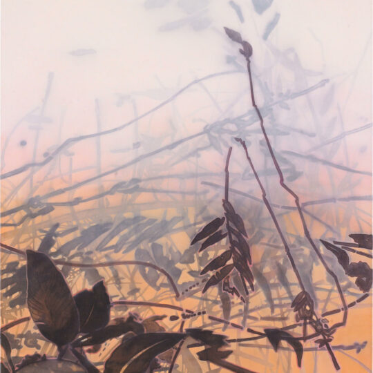 Eva Wagner Bloom 1