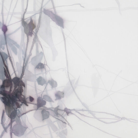 Eva Wagner Silent Blossom